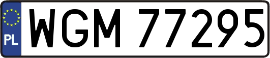 WGM77295