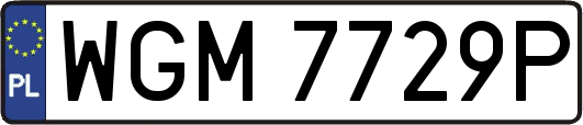 WGM7729P
