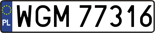 WGM77316