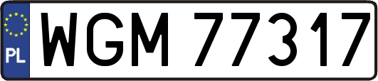 WGM77317