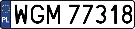 WGM77318