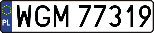WGM77319