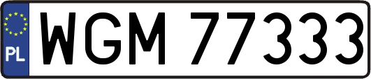 WGM77333