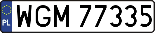 WGM77335