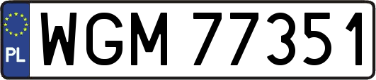 WGM77351