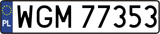 WGM77353