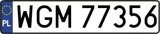 WGM77356