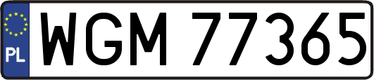 WGM77365