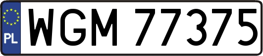 WGM77375