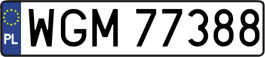 WGM77388