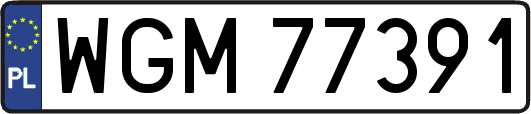 WGM77391
