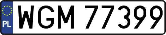 WGM77399