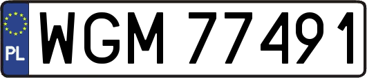 WGM77491
