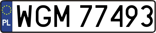 WGM77493