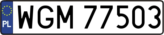 WGM77503