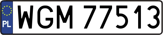 WGM77513