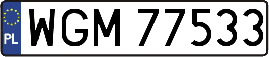 WGM77533