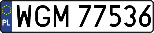 WGM77536