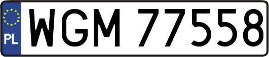WGM77558