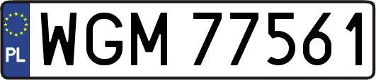 WGM77561