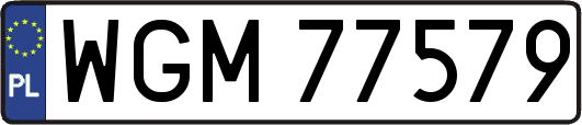 WGM77579