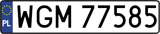 WGM77585