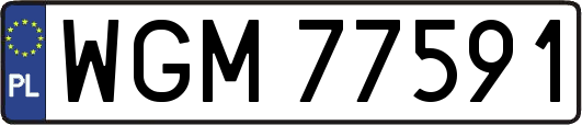 WGM77591
