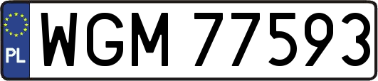 WGM77593