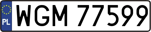 WGM77599