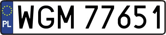 WGM77651