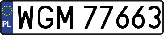 WGM77663