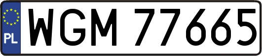 WGM77665