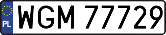 WGM77729