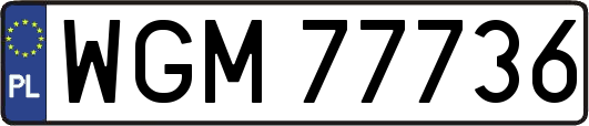 WGM77736