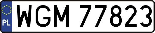WGM77823