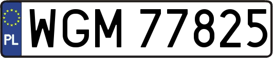 WGM77825