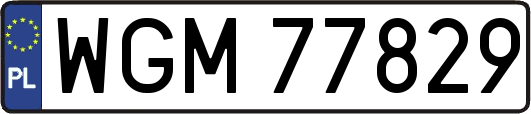 WGM77829
