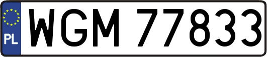 WGM77833
