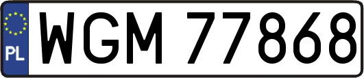 WGM77868