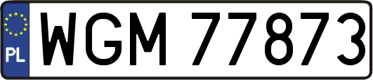 WGM77873