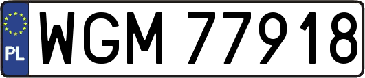 WGM77918
