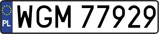 WGM77929