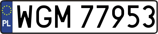 WGM77953