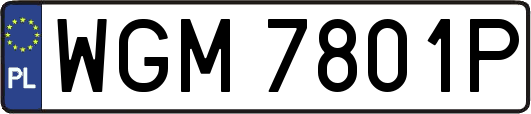 WGM7801P