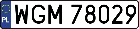 WGM78029