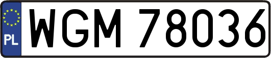 WGM78036