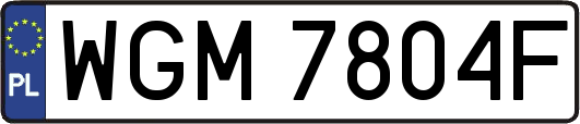 WGM7804F