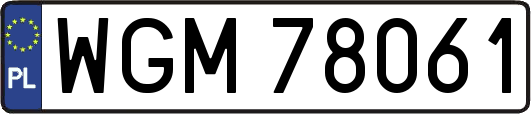 WGM78061