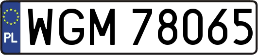 WGM78065