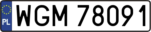 WGM78091